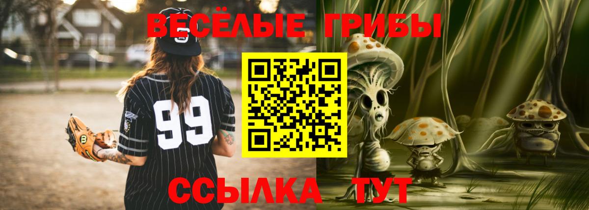 Галлюциногенные грибы Magic Shrooms Каспийск